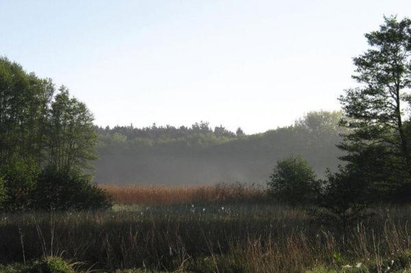 Fewo Ferien Am Schweriner See Flessenow Dış mekan fotoğraf
